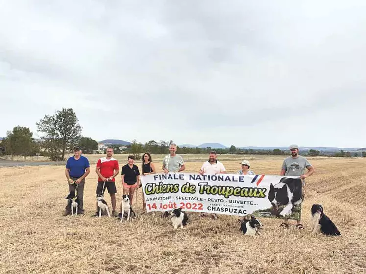 L'Association Chien de Troupeau 43 présente son événement estival : la finale nationale de chiens de troupeaux sur bovins le 14 août à Chaspuzac.