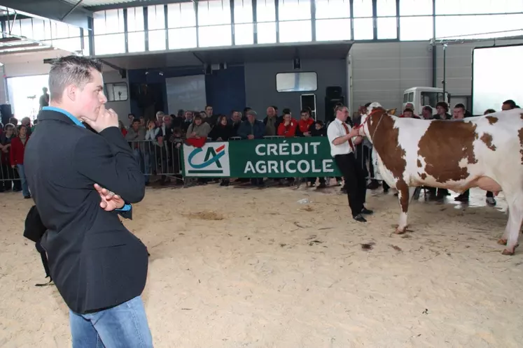 Le juge Nicolas Robert face à des choix difficiles.