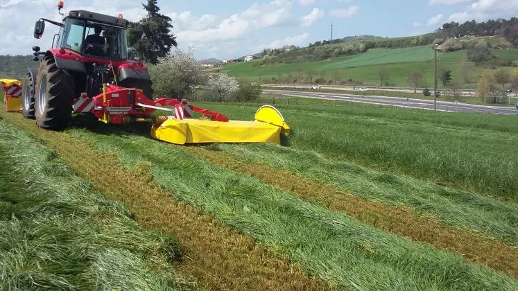 L’impression visuelle a été confirmée par la mesure de la MS : 29 % à 48 heures.