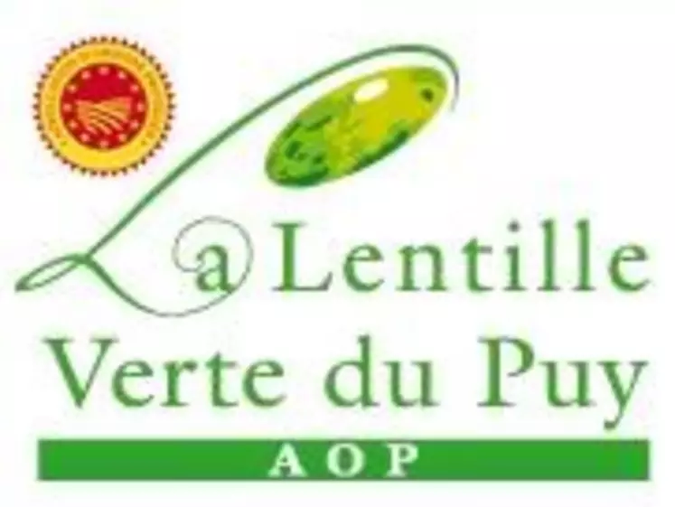 La lentille Verte du Puy