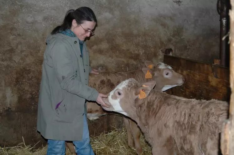 Chez Anne-Marie Januel productrice de veaux gras à Ste Sigolène, vous apprendrez à soigner les animaux via des méthodes alternatives.