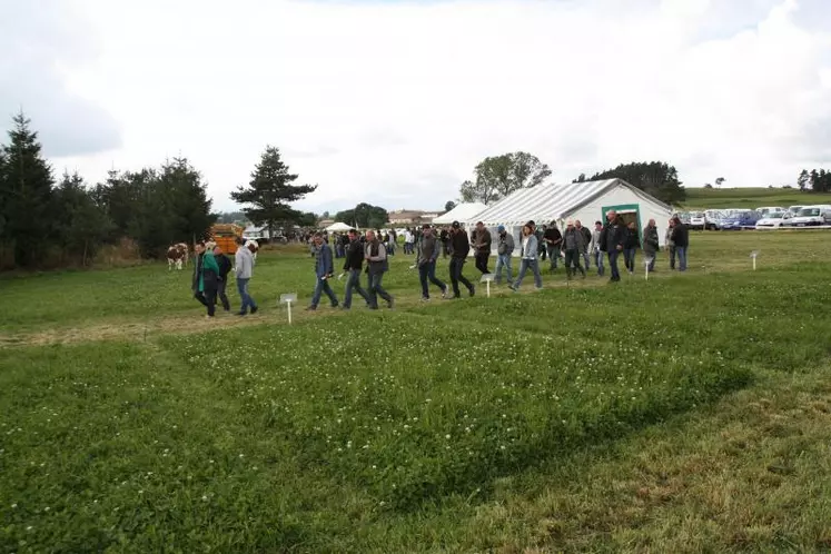 Une journée de l’herbe réussie à St Pal en Chalencon.