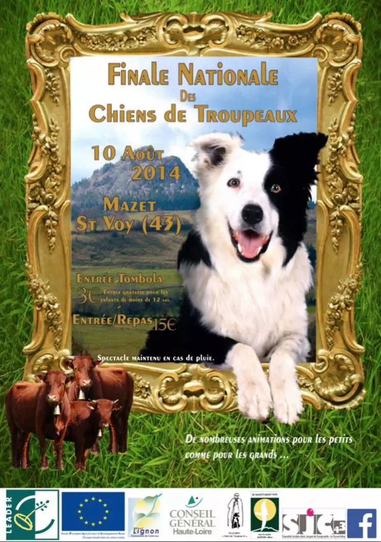 Affiche de la finale nationale des chiens de troupeaux au Mazet St Voy.