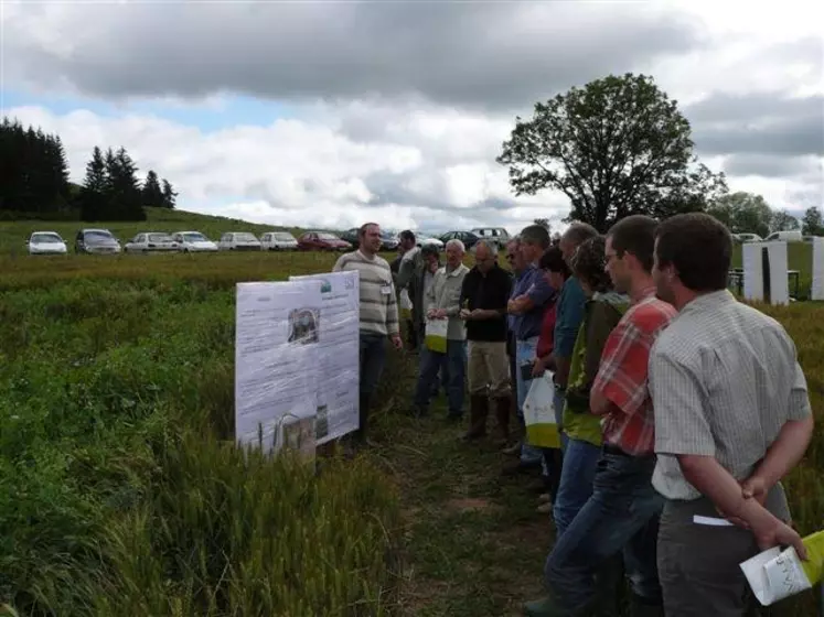 Les visites d'essais organisées pour les agriculteurs sont toujours suivies avec intérêt.