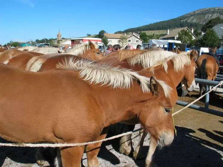 Cette aide est destinée aux éleveurs individuels ou en société qui participent à l'effort d'adaptation de leur production.