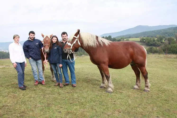 Anita de Mercuret a remporté le prix de championnat des juments adultes en compagnie de la famille Issartel.