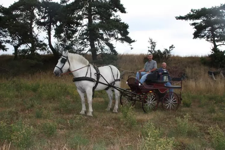 Le président Léon Richaud et le président fondateur Gérard Queyrat avec le Percheron Indien tirant une voiture «Marathon».