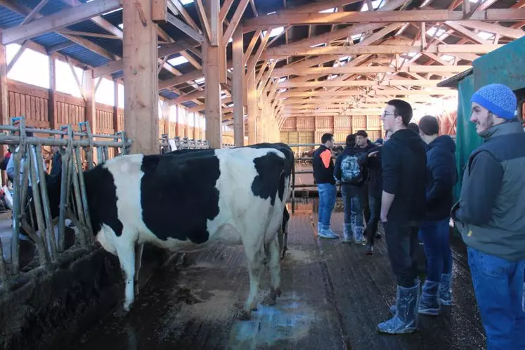 Après les épreuves, le jury a dévoilé son classement mettant en lumière les points forts et les points faibles de chaque animal.