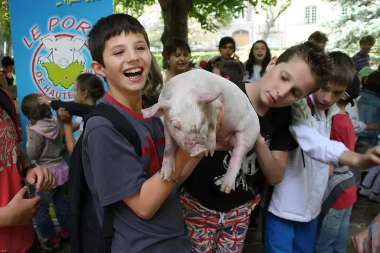 Quel bonheur de caresser un porcelet…