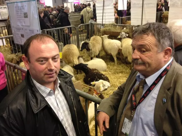 Devant les brebis BMC, Noires du Velay et Bizet, Laurent Duplomb avec Jean-Luc Chauvel, président de FEDATEST du Collectif des Races Locales du Massif.