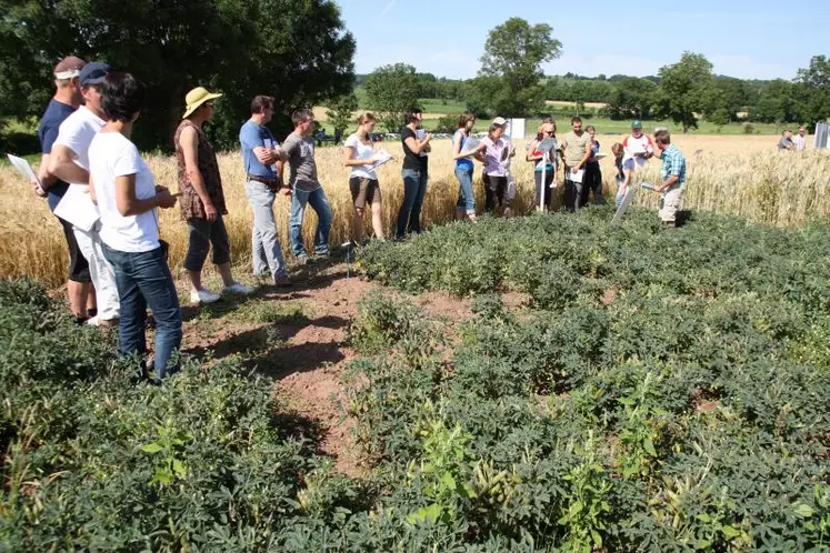 La plate-forme a été miss en place par la Chambre d’agriculture de Haute-Loire en collaboration avec la Chambre régionale d’Auvergne et l’association céréales Montagne.