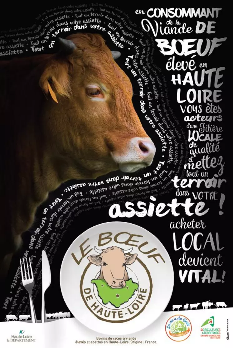 Affiche Boeuf de Haute-Loire