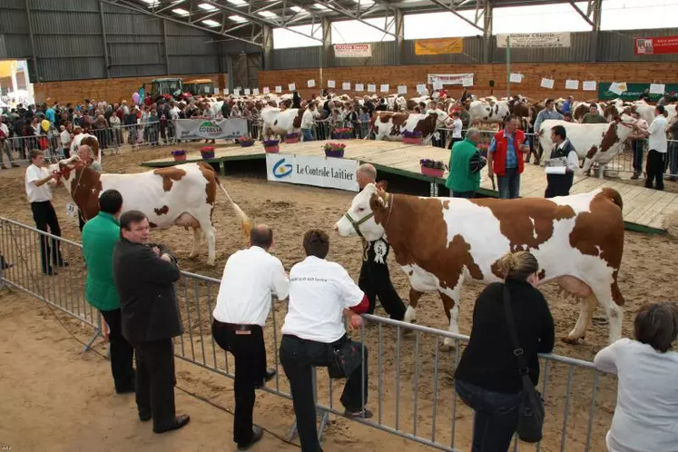 Défilé des laitières devant les spectateurs et le jury (Benoît Roche de St Géron pour les Montbéliardes et Joël Plantin de Paulhaguet pour les Prim’Holstein).