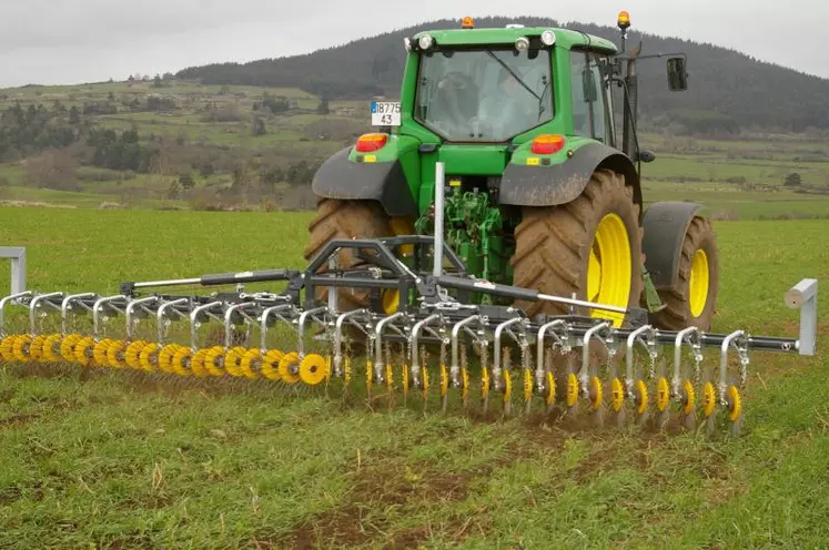 Passage de roto-étrille sur céréale, outil innovant de désherbage mécanique