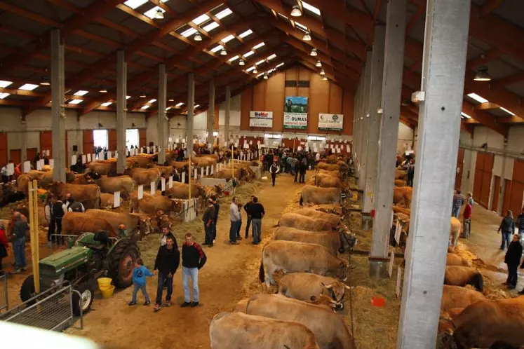 De très beaux animaux Aubrac issus de 9 départements étaient à Saugues le weekend dernier.