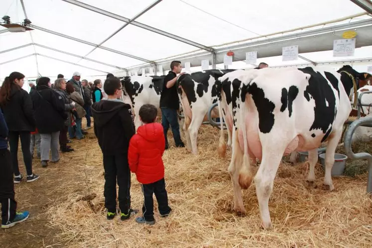 La mini ferme s'est installée ce weekend place du Breuil au Puy-en-Velay