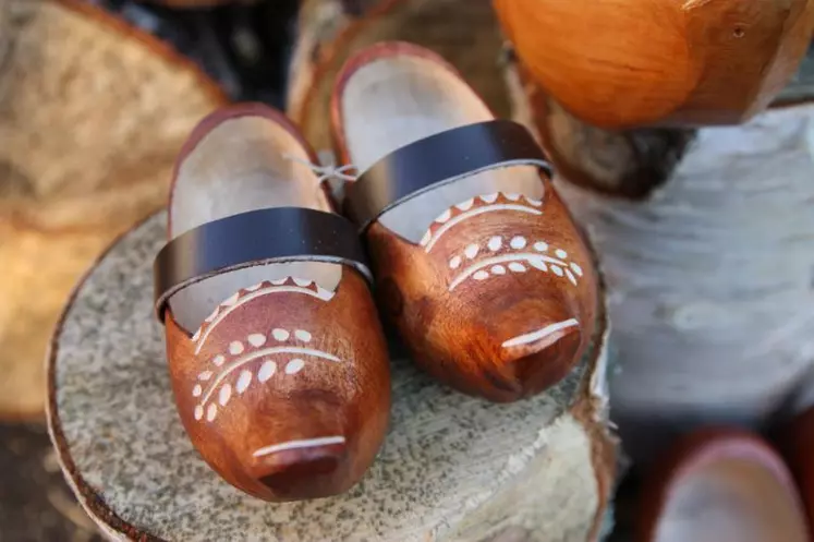 Des sabots pour tous les pieds, ici des sabots pour enfants.
