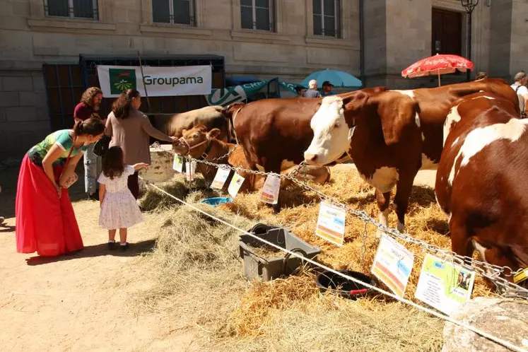 Samedi 1er juin, les animaux de la ferme étaient les stars de la foire-Expo.