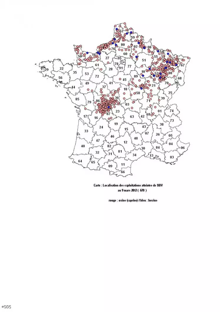 Le virus a été diagnostiqué dans 670 élevages en France.