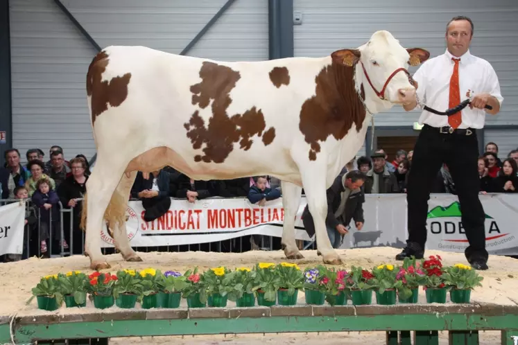 Cadillac, la meilleure mamelle !