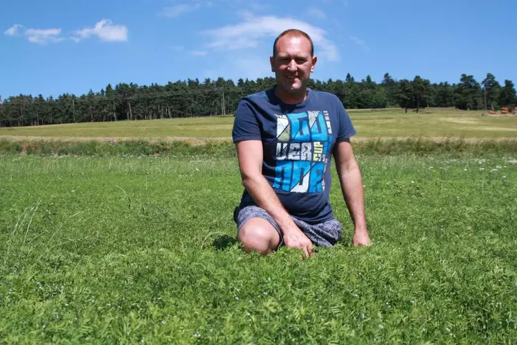 Emmanuel Eymard au milieu de l’une de ses parcelles de Lentille Verte du Puy.