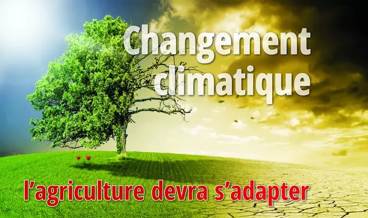 L’adaptation des pratiques culturales au changement climatique était le thème de la session de la Chambre départementale d’agriculture le 11 juin. 