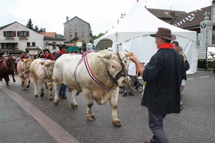 Le défilé le temps fort de la fête.