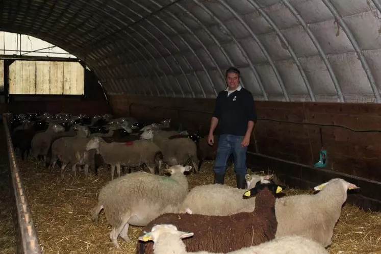 Claude Font reconnait une certaine inquiétude sur l’avenir de la production ovine.