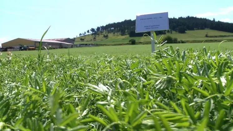 Chaque portion de parcelle est différenciée.