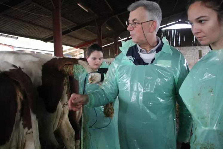 Séance d'examen minutieuse des animaux.