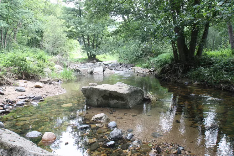 Cours d'eau en Haute-Loire.