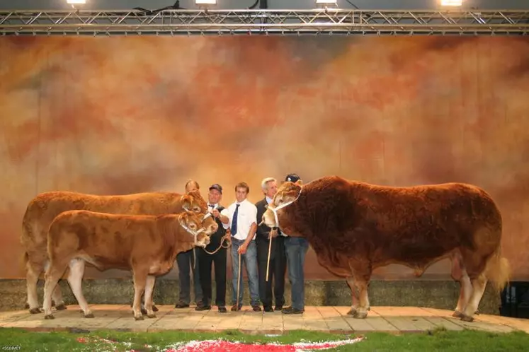200 éleveurs et 420 animaux en concours pour la race Limousine
