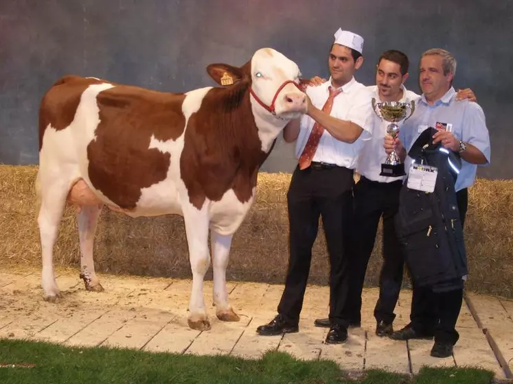 "D'Axiane", une belle Montbéliarde altiligérienne récompensée.