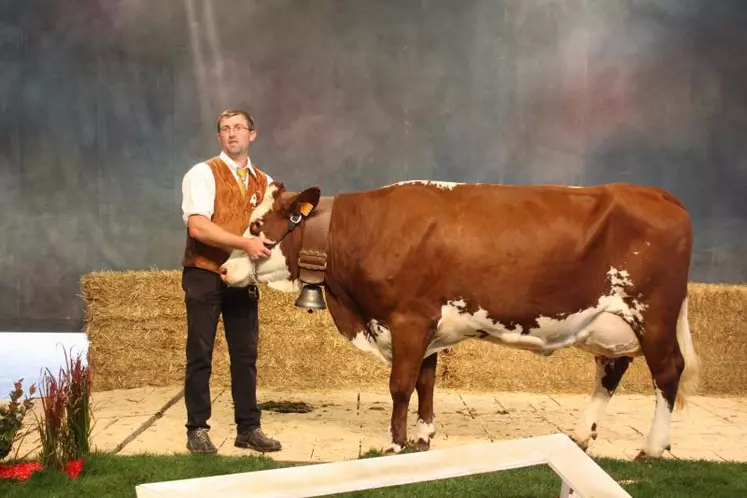 "Bulle", une Abondance de Haute-Loire championne