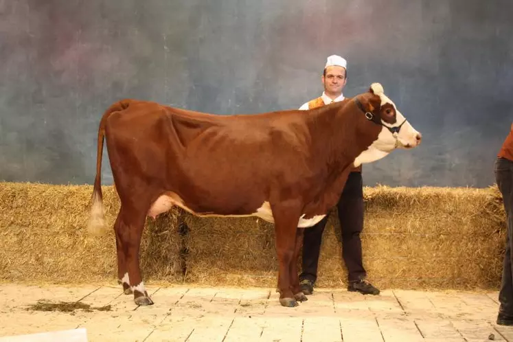 "Duchesse", une Abondance de Haute-Loire championne