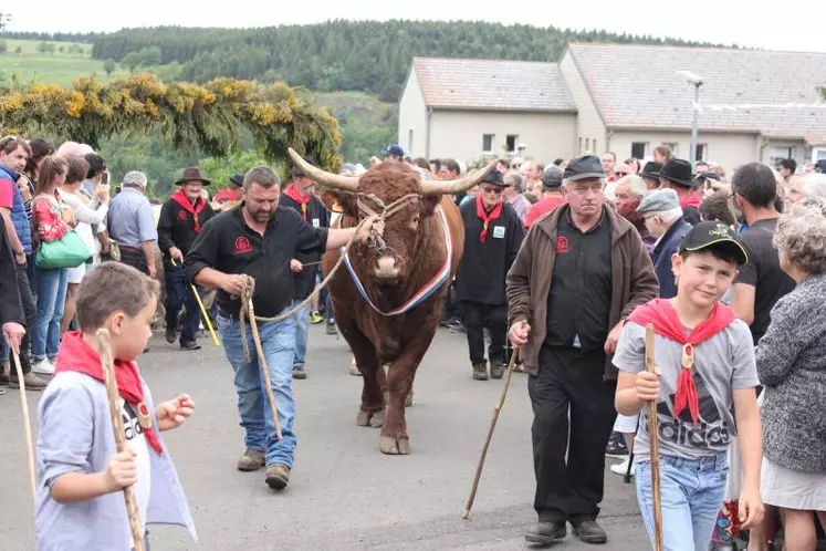 Le temps fort de la Fête du Fin Gras du Mézenc, c’est sans conteste la Grande parade. Éleveurs et bêtes traversent le village avec fierté.