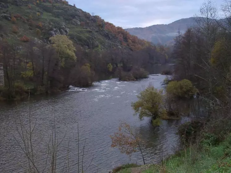 93 % des cours d'eau sont de très bonne ou de bonne qualité en Haute-Loire.