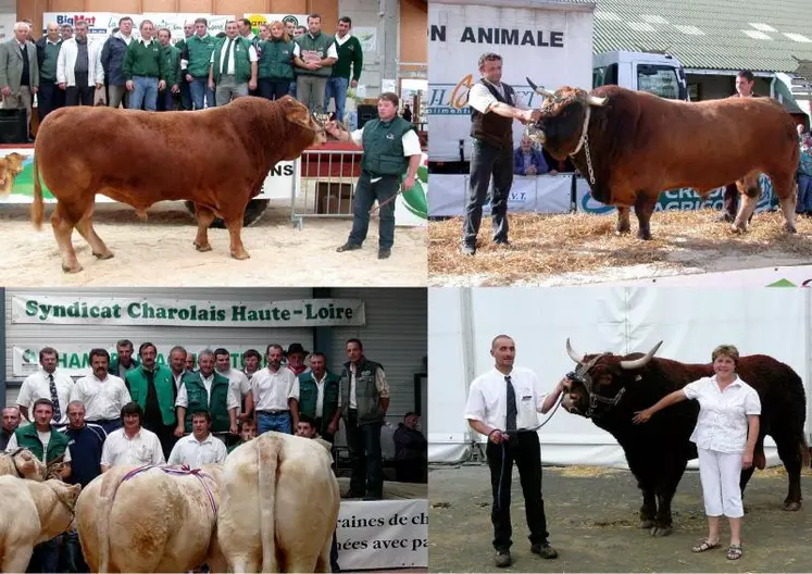 Les races Aubrac, Charolaise, Limousine et Salers organiseront chacune leur concours.