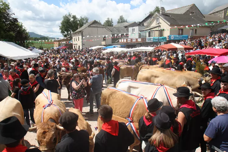 Le Fin Gras du Mézenc a attiré les foules de visiteurs ce dimanche à St Front.