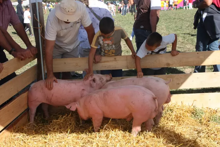 La mini-ferme a été très appréciée.