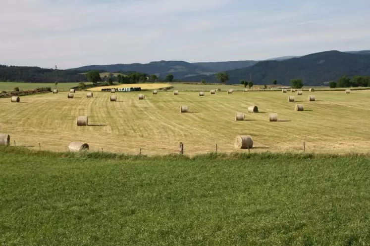 15 cantons supplémentaires et quelques communes des cantons de Pinols et Saugues font partie du classement proposé par le comité départemental.