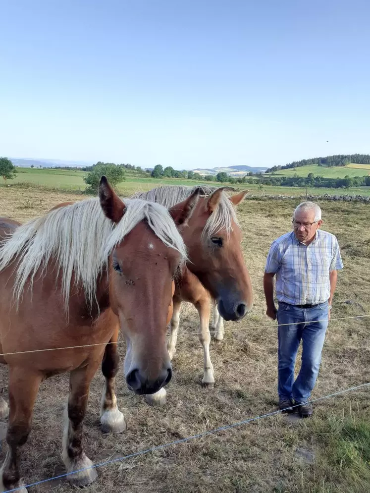 Claude Cubizolle avec ses comtois.