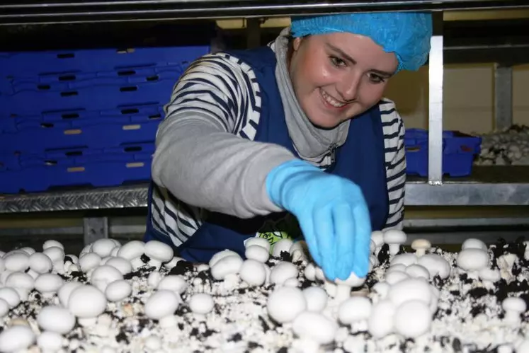 Lou-légulice prévoit d'installer une unité de production de 10.000 m² sur la zone de Chaspuzac.