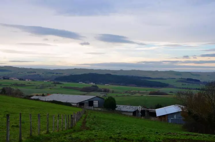 La ferme Auvergne devrait poursuivre son élan de modernisation grâce au plan de compétitivité et d’adaptation des exploitations agricoles.