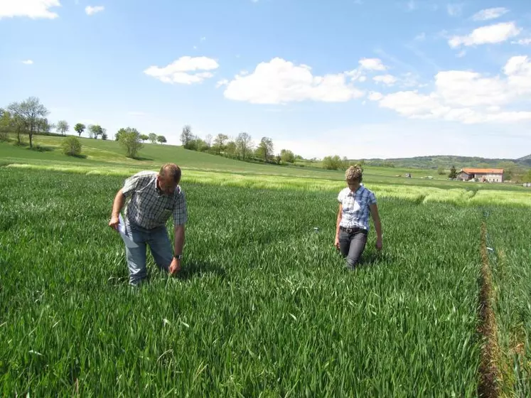 Les essais sont implantés sur la commune de St Paulien à Orcenac au Gaec du Perouet.