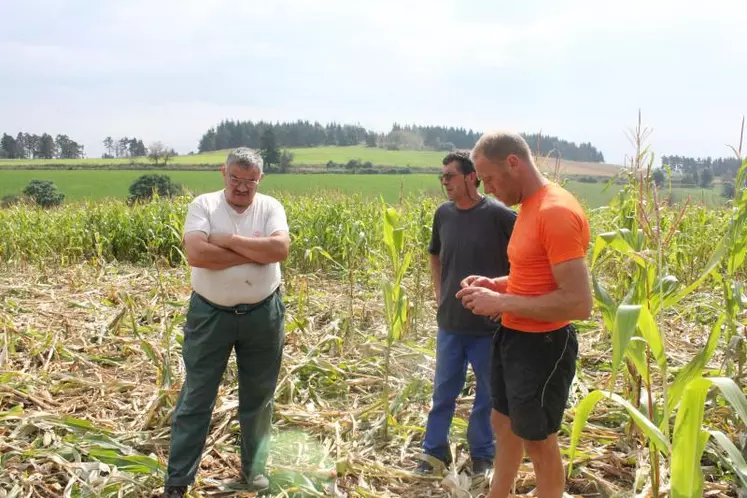 Consternation. Au milieu de ce champ, agriculteurs et responsables professionnels locaux constatent l'étendue des dégâts.