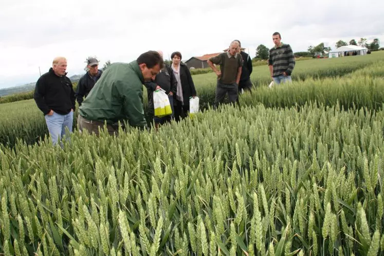 La Chambre d’Agriculture de Haute-Loire et EuréaCoop, adhérents de l’ACM,
ont organisé cette journée technique.