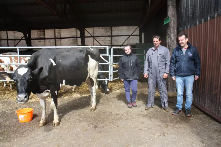 Pauline Brun, Thierry Portal et Vincent Brunel en compagnie d'Ophélie, qui représentera le Gaec lors des journées laitières à St Paulien.