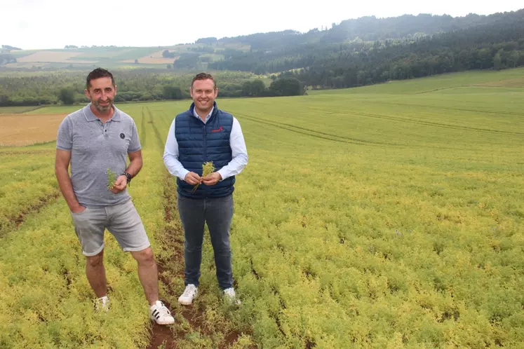 Franck Rocher, agriculteur et président de l’ODG Lentilles vertes du Puy-en-Velay et Antoine Wassner, PDG  de l'entreprise Sabarot.