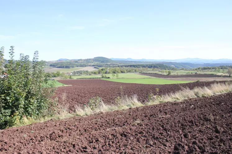 Paysage rural près de St Paulien avecparcelles labourées.